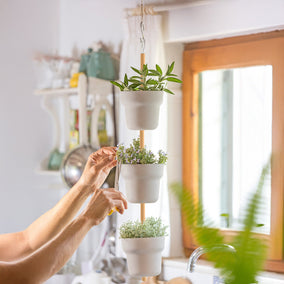 Jardineras colgantes