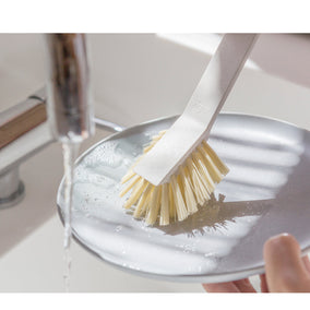 Dish Brushes