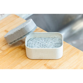 Sponges and sponge holder