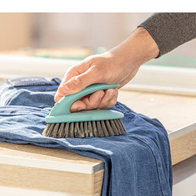 Cepillos de ropa y calzado
