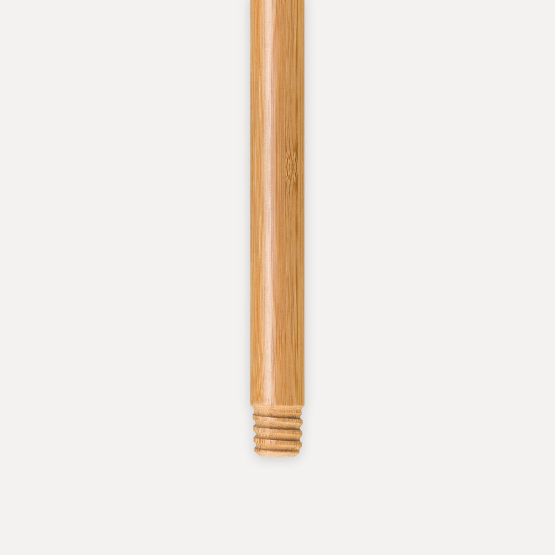Palo lacado madera
