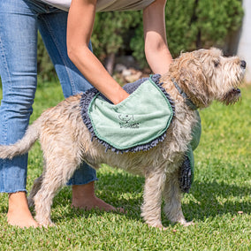 Accessoires de toilettage pour animaux