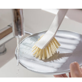 Dishwashing brushes