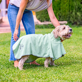 Pet towels and mittens