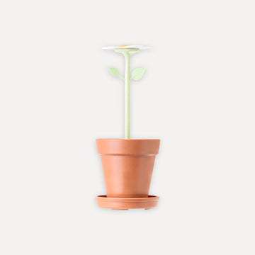Bote para cepillo de dientes con diseño de flor
