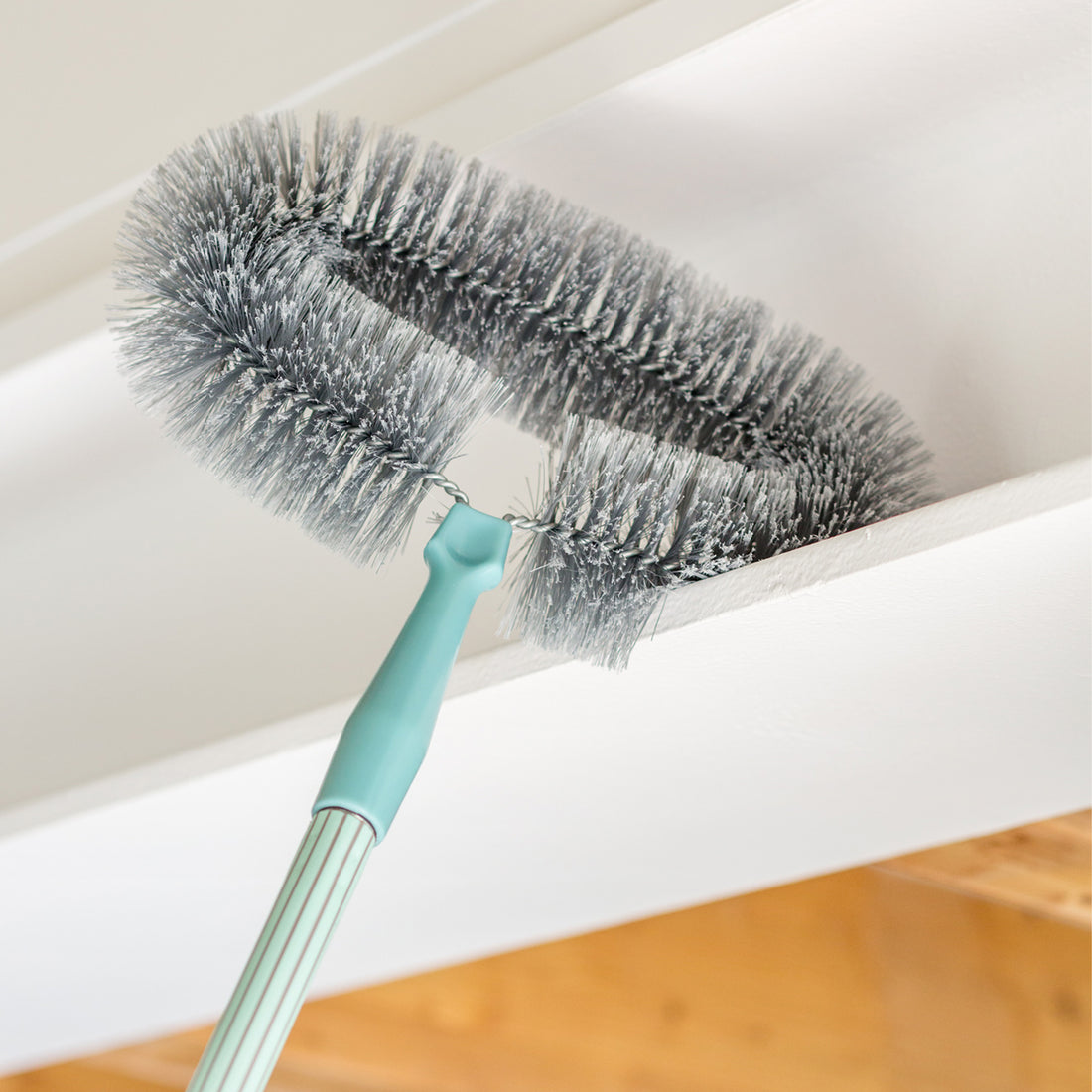 Rooftop cleaning brush