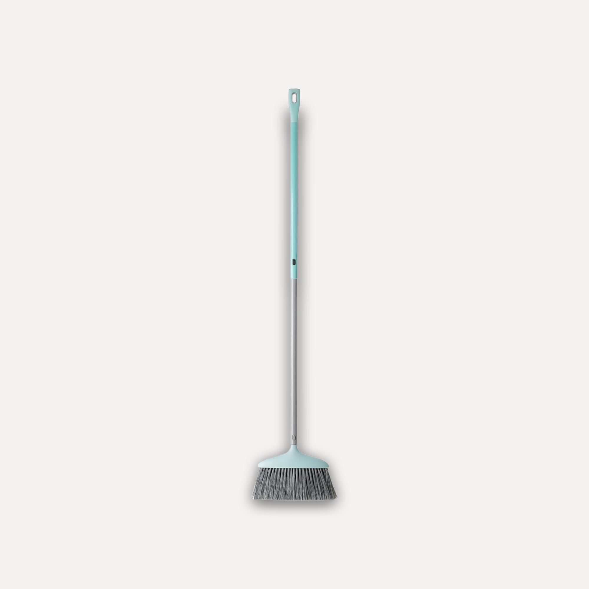 Broom with extendable handle